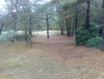 11112007468.jpg