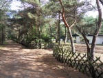SDC16499.JPG