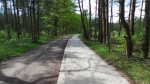 20150508_143708.JPG