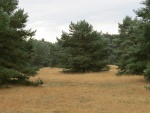 IMG_2163.JPG
